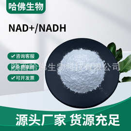 烟酰胺腺嘌呤二核苷酸 辅酶Ⅰ NAD+99% 还原型辅酶Ⅰ NADH99%