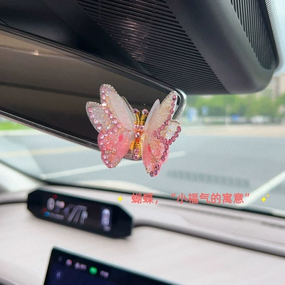 Car ornaments: dashboard, and computer display screen