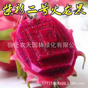�S�����������Ԯ���Y���t�ķNֲ�ļ�����t���ͥԺ�����������