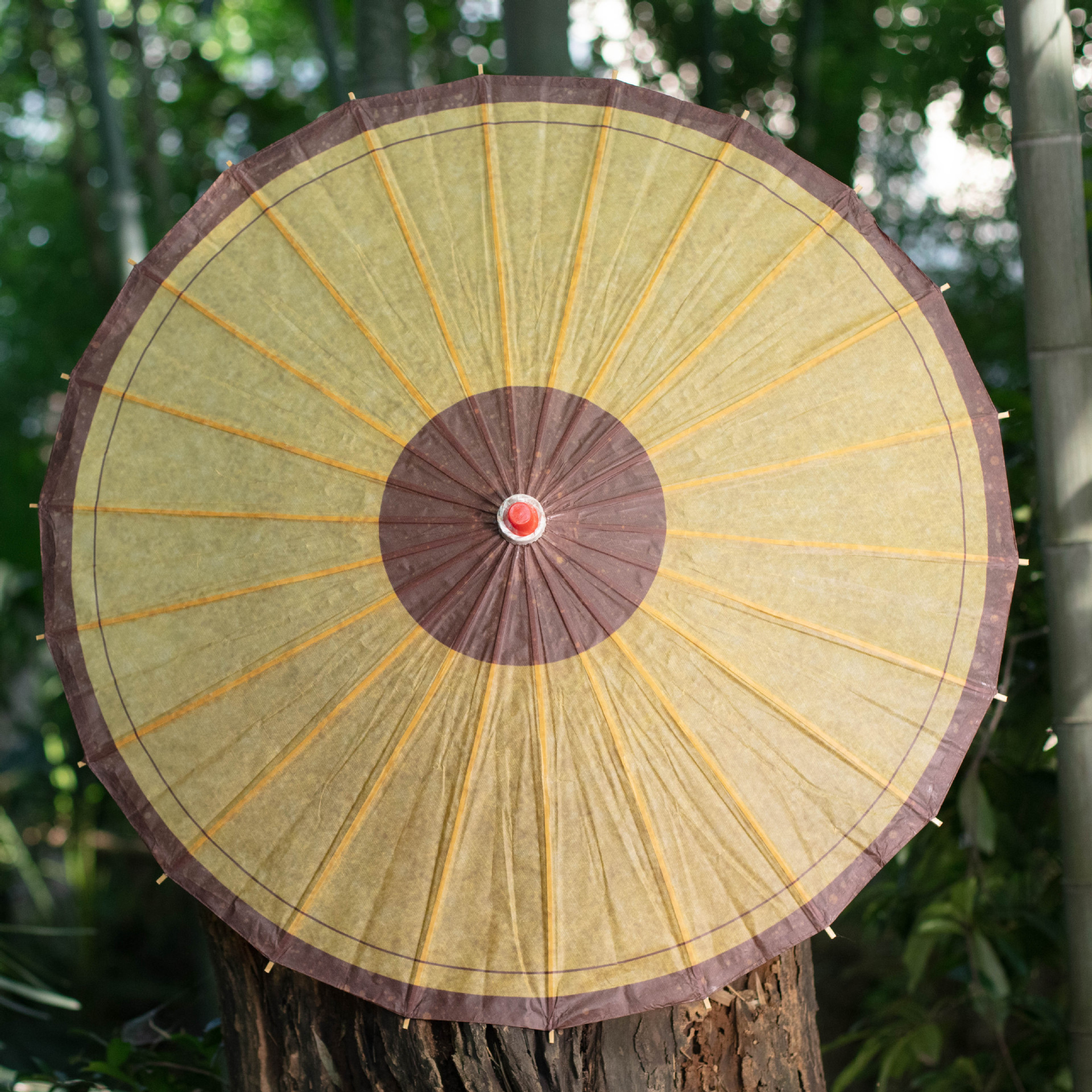Rainproof and Sunproof Traditional Oil Paper Umbrella, Ancient Costume, Cheongsam, Hanfu Photography, Ceiling Decoration, Classical Oil Paper Umbrella Props, Runway Show