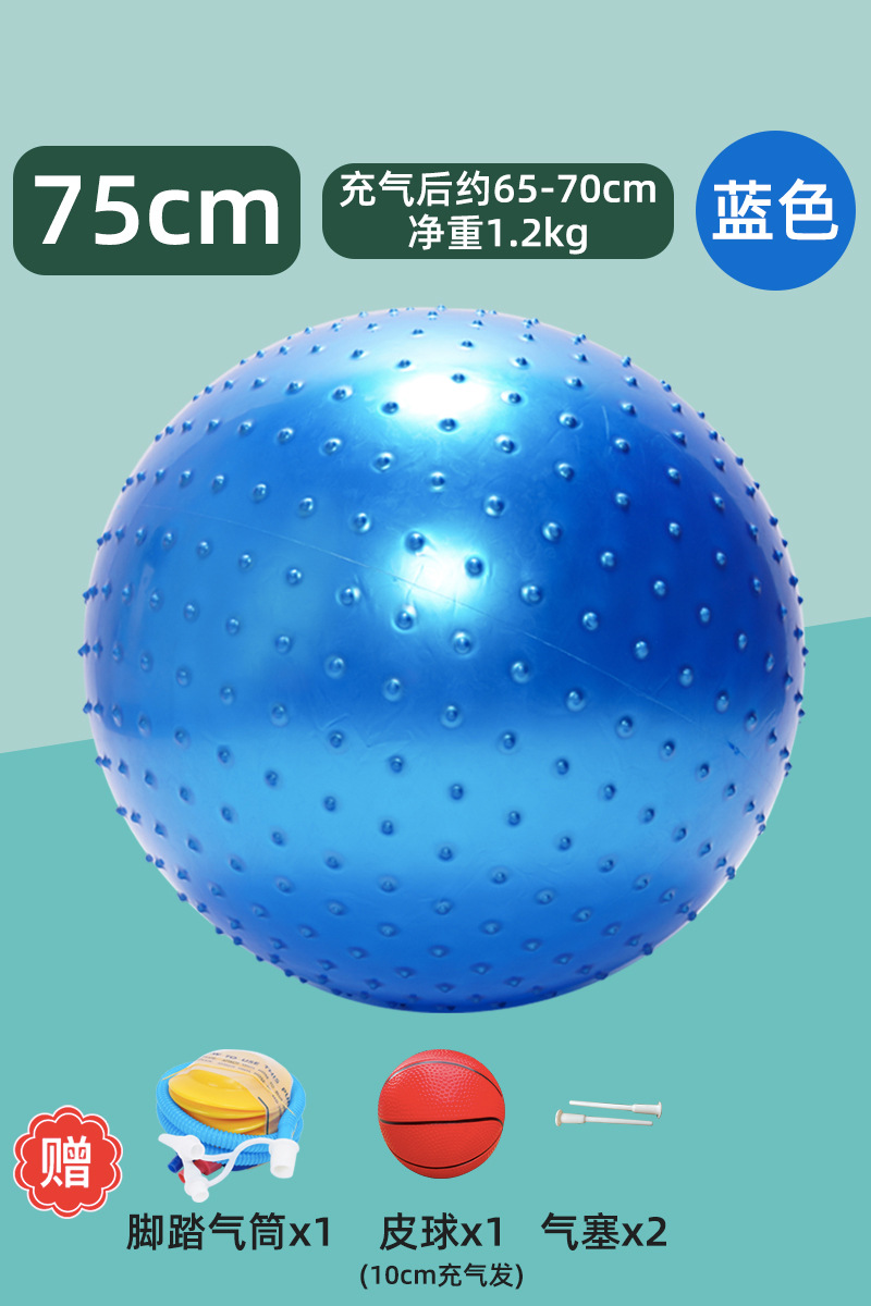 Entrenamiento sensorial infantil tactile masaje yoga bola de dragón juguetes de pelota equipo de acondicionamiento físico granular jaula bola de dragón