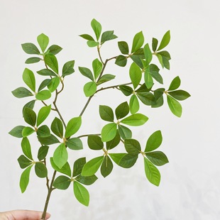 ����d���~�^�z�٘�֦�d�ӻ��쾰�b����ԾGֲ�Gɫ�~�ӈ@�֔[�O��