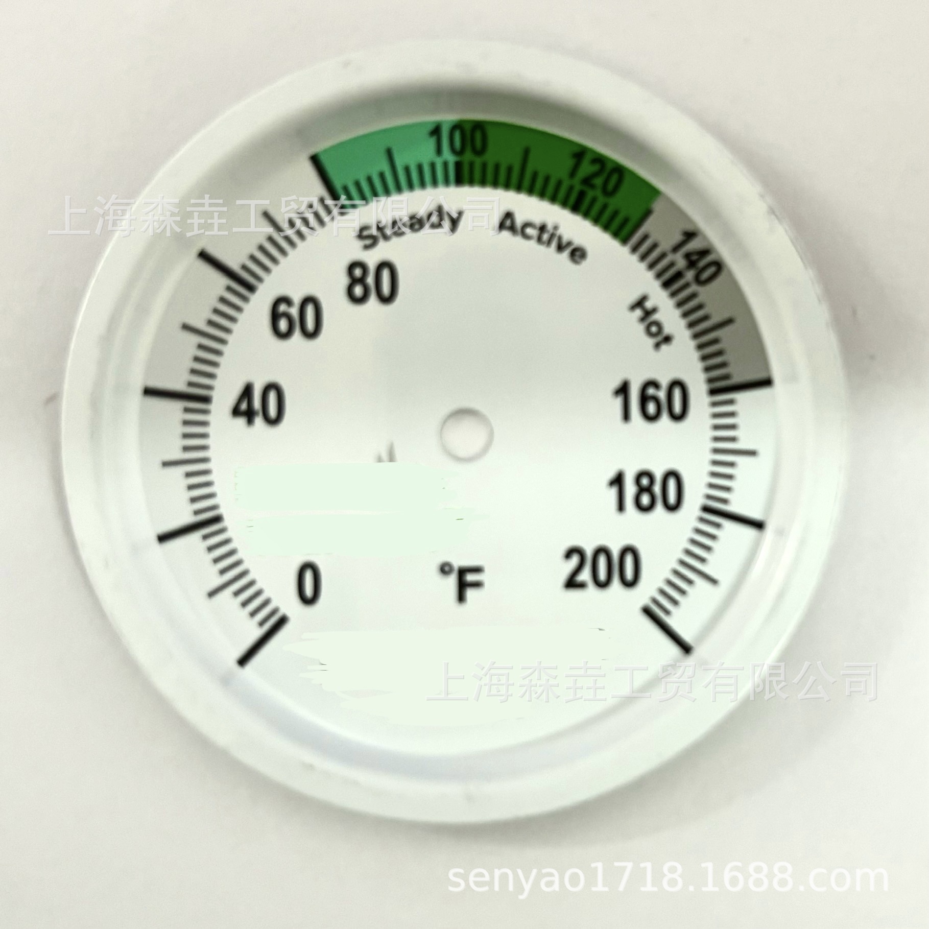 LFI400C表盘直径100mm轴向型充硅油/甘油防震双金属温度计