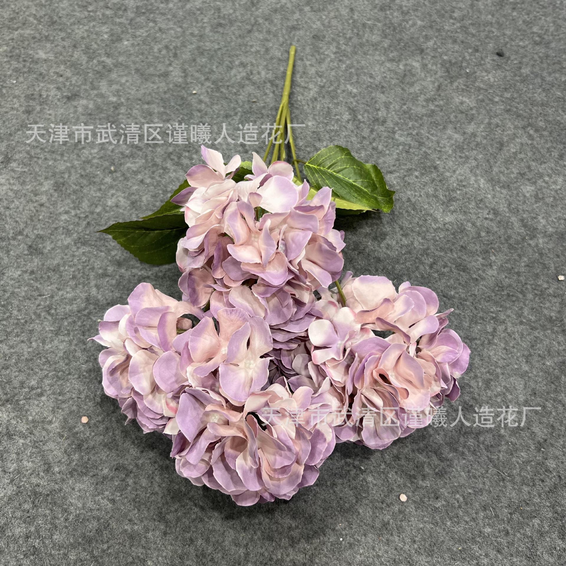 2022_08_27_09_50_IMG_6674