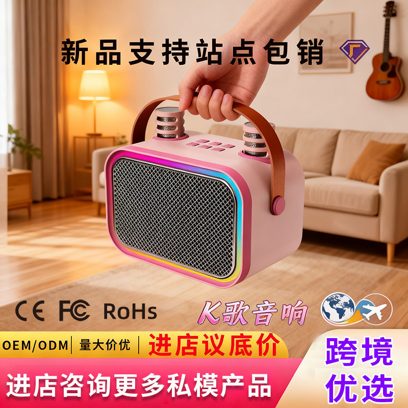 New Model 5.0 Bluetooth Speaker with Microphone for Home Use, Portable Children's Karaoke Machine, Small Speaker