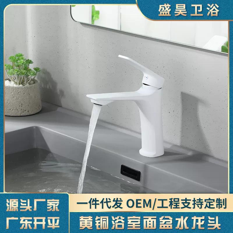 小红书同款 白色面盆水龙头 卫生间单孔双控冷热黄铜陶瓷白水龙头