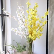 �����m�����m���滨ֲ��羳��غ����m��c�b�