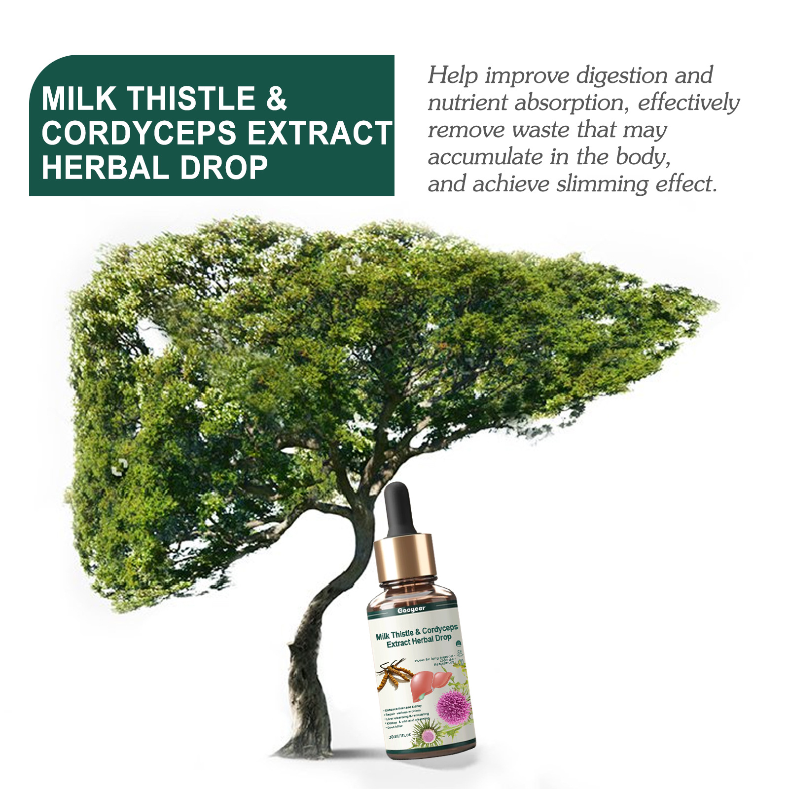 Googeer Milk Thistle and Cordyceps Sinensis Drops relieve physical discomfort and fatigue, relax body and mind care essential oil_voghion.com