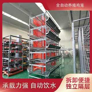 全自动层叠镀锌鸡笼蛋鸡笼鸽子笼层叠式肉鸡A型笼肉鸡H型笼鹌鹑笼