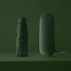 Dark green-6-bone mini+ capsule box