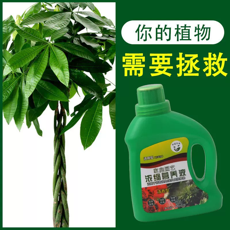 厂家直销植物营养液 浓缩植物通用型 多肉发财树蔬菜叶面肥料
