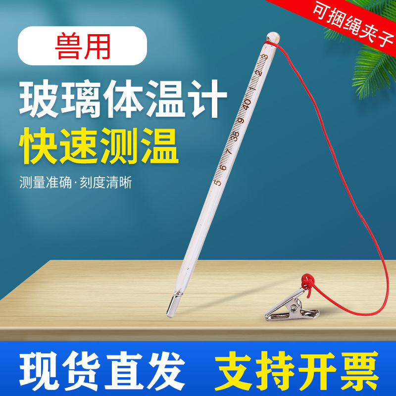 Veterinary Thermometers Veterinary Body Temperature Thermometers Veterinary Animal Anal Thermometers Pig Thermometers Veterinary Thermometers Veterinary Body Temperature Thermometers Veterinary Animal Anal Thermometers Pig Thermometers