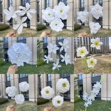 Ϫ 2025Ʒ ɫϵ  cY滨l