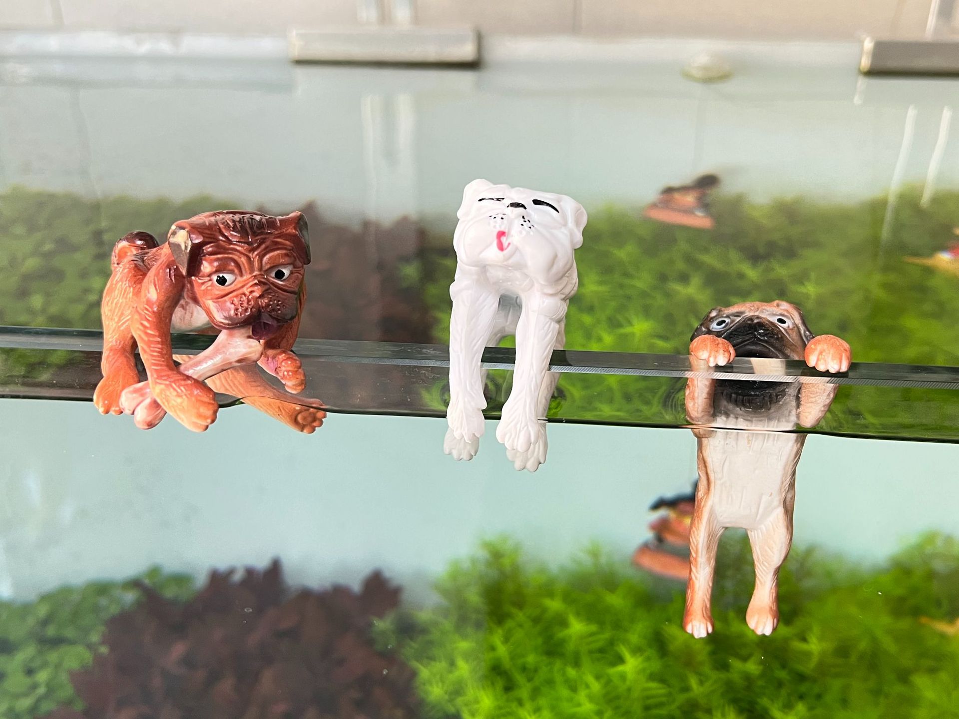 Большой скворцовый желтый набор из трех штук.