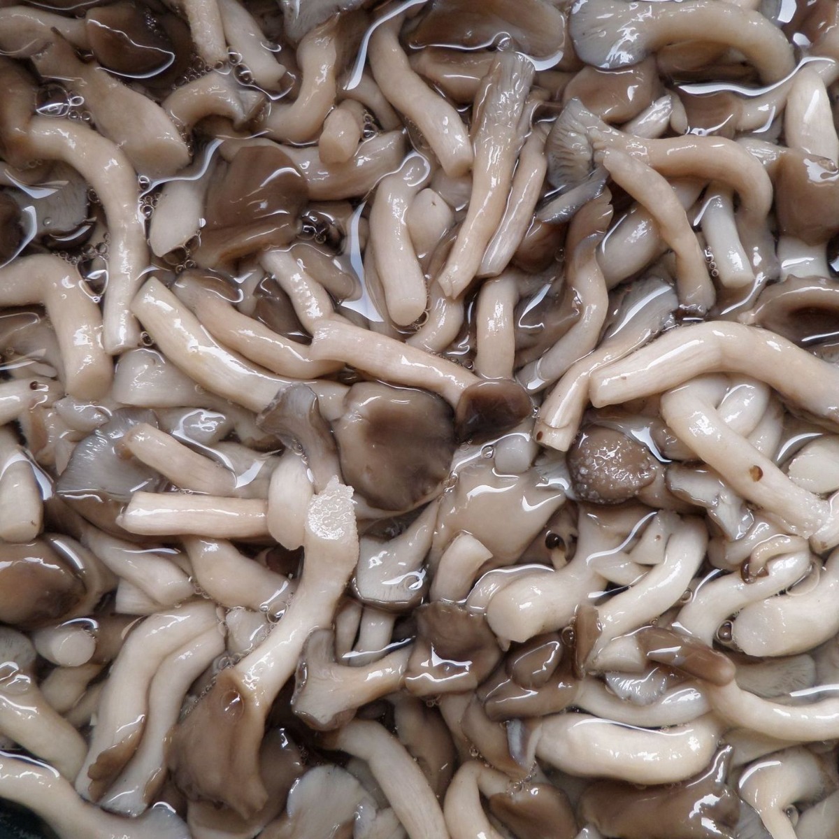 2024-04-23 18:13:01.jpg