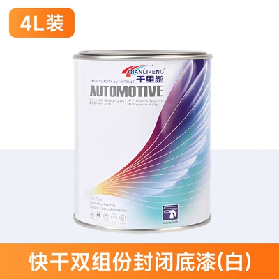 2K Epoxy Primer in a: Avtomobil boyası - two-component-closed-bottom-paintwhite-4l-bottom-paint-4lcan-liquid-paint