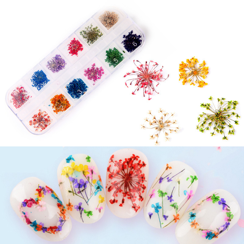 New manicure natural dried flower lace three-dimensional plant starry water fairy flower Japanese 12 grid boxed nail jewelry New manicure natural dried flower lace three-dimensional plant starry water fairy flower Japanese 12 grid boxed nail jewelry