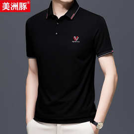专柜品质男装高端短袖t恤男夏季中年商务休闲简约POLO衫刺绣短袖
