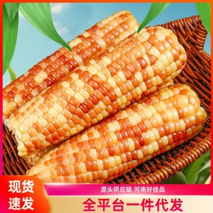 ��Ŵ�������r��ŴС��������bܛŴ���׌W���I�B�����ʳܛŴ����