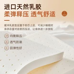 Ll Brown Mat Natural Coconut Palm Mattress for Children, Firm Palm Home Use, Foldable Economical Model, Waist Support