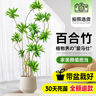 �ٺ���͏d�Gֲ�҃ȴ������Խ�߅�����滨�ٺϘ���Gֲ�������Ϙ�