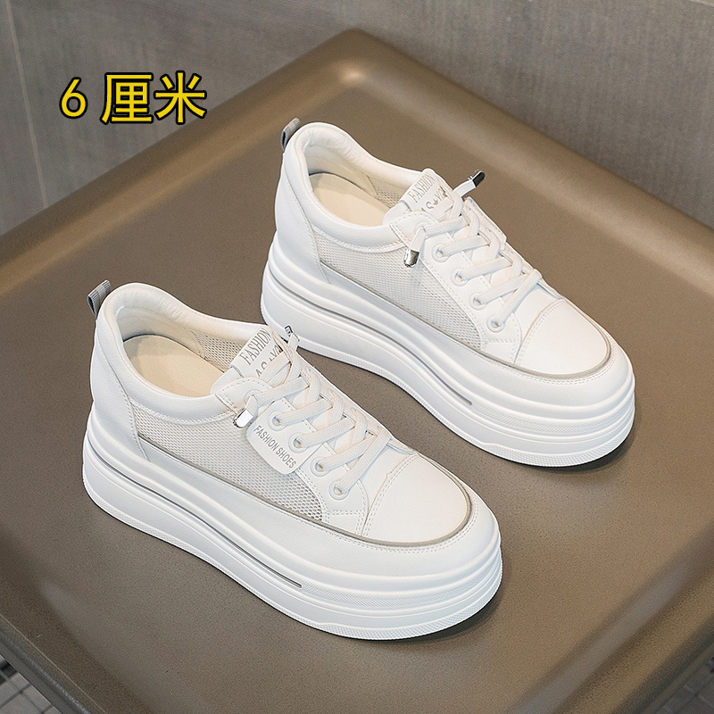 그레이 메쉬( 6cm )