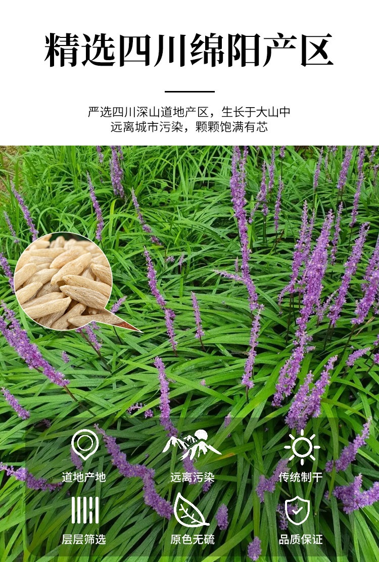Mai Dong Ophiopogon Root 500g Sichuan Premium Dried Slices for Herbal Tea and Decoction overview
