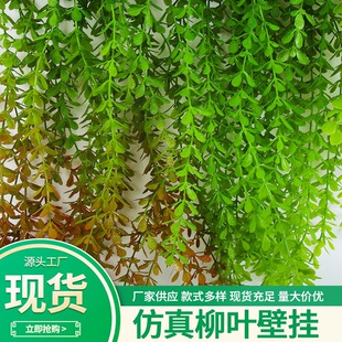 ����Gɫ�����ڒ� 5���^���������̈��b�픴�������Gֲ�����l