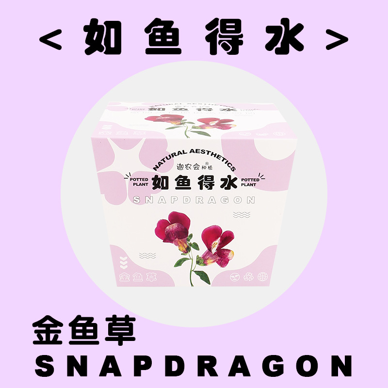 오리처럼 물 (금붕어 풀)