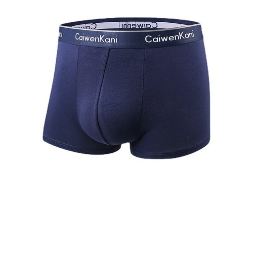 Mens Boxer Briefs Breathable Pure Cotton Modal Graphene Thin Shorts Underwear Gift Box