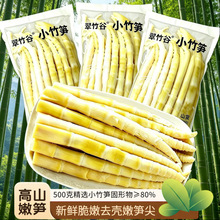 竹笋 新鲜 1斤装 清水小竹笋野生清汁笋尖罗汉笋春笋江西