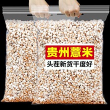 �¿�޲�����������r�r��С���ඹ�t��޲��������s�Z��С���G��