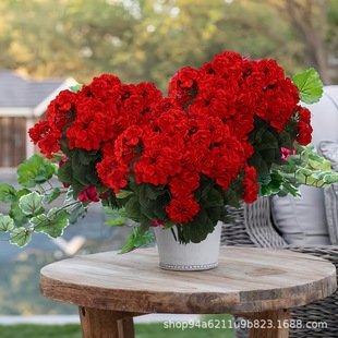 �羳�������ÿ��������������ͥԺ���Ļ����ܾGֲ�ذ�󻨷���