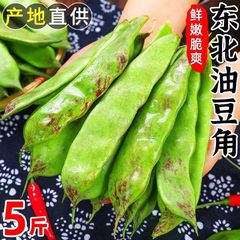 【大甩卖】东北油豆角蔬菜新鲜当季九月紫花油豆角买菜超宽包邮