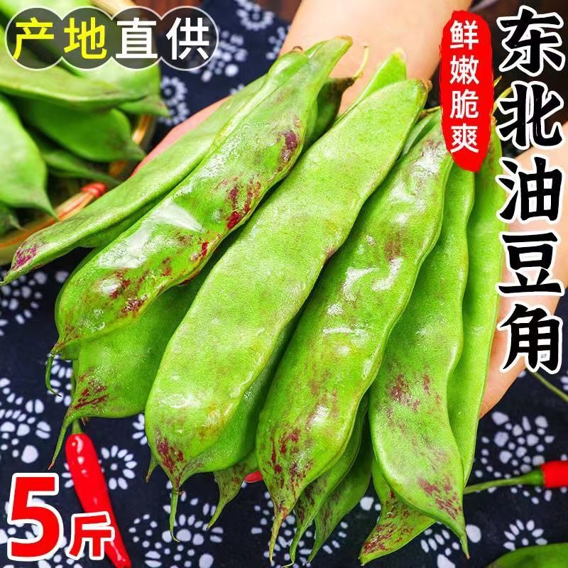 【大甩卖】东北油豆角蔬菜新鲜当季九月紫花油豆角买菜超宽包邮|undefined