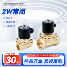 金通气动2W黄铜常闭电磁阀 6分304水阀DC24V高温DC12V220