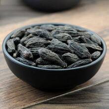 ��������������Ұ������o����؛��؛��؛