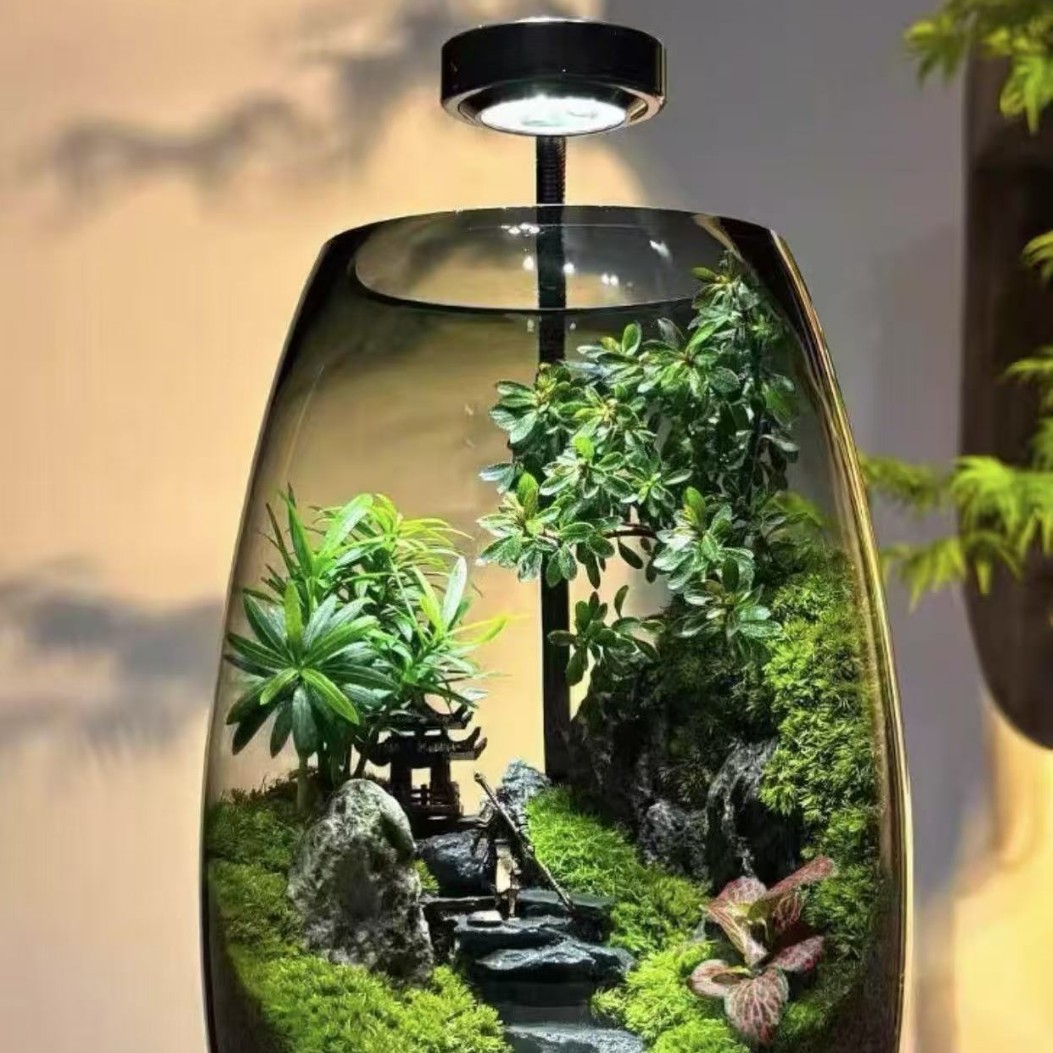 定制桌面微景观 水族射灯多肉植物灯水草灯LED微景观USB灯 木板鱼