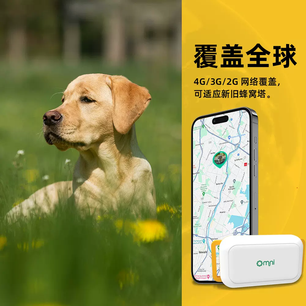 电子围栏实时提醒 小狗小猫追踪防丢定位项圈 GPS宠物定位器