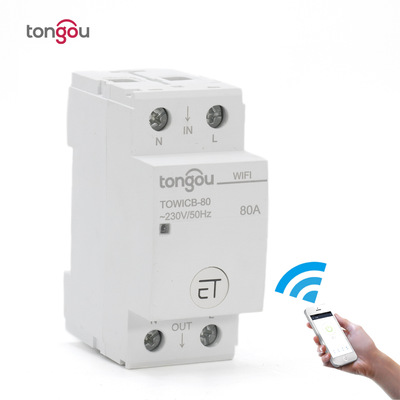 TONGOU 【外贸专供】2P WIFI 智能 断路器 eWelink TOWICB-80