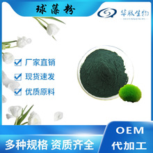 �����98% С����/�G����ȡ�� �Ʊڵ��׺� �A������ ԭ��  1kg�b