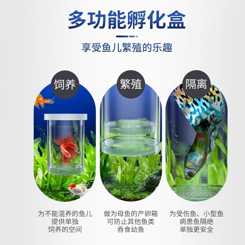 水槽孵化箱、グッピー繁殖隔離箱、小魚卵、稚魚、ゼブラフィッシュ、ベタ水槽用品、産卵|undefined
