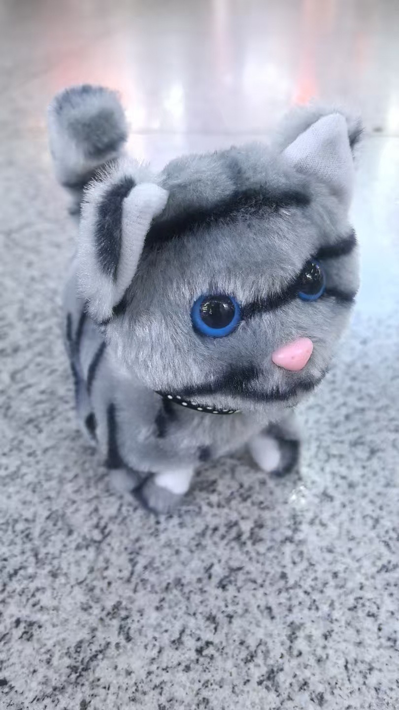 Cat model [grey] can meow