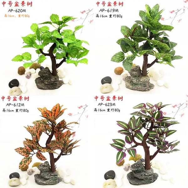 Set of four medium-sized bonsai trees