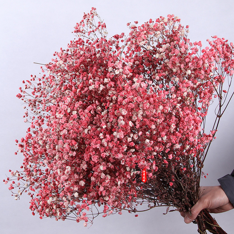 Yongsheng flor estrellado flor seca grande al por mayor regalo de flores de San Valentín Regalo de Cumpleaños gran manojo de ramo de flores reales