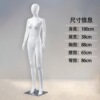 直手左迈腿（大胸款）