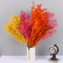 �������R��ѩ���Ĕz���߼Ҿ��b����ָ���ƿ��������ˇ�g�廨��