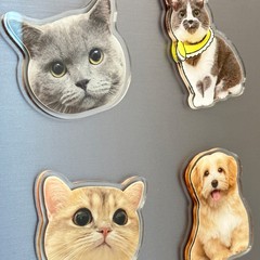 写真ペットの子猫犬立体高級感癒し系磁石貼りアクリル冷蔵庫貼り