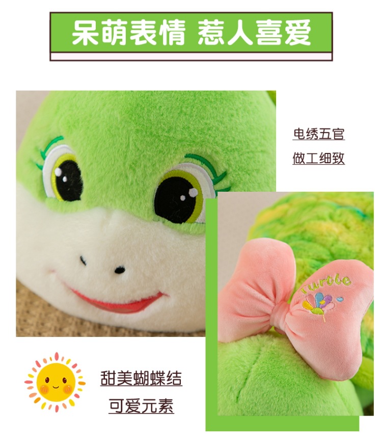 可爱龟 (3).jpg