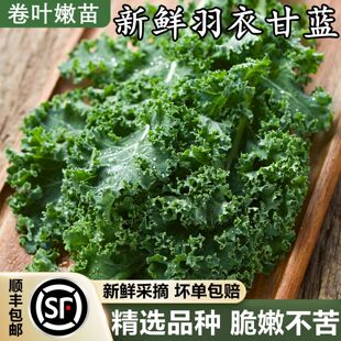 ���¸��{���r�߲����~kaleʳ��ե֭��Ƭ����ɳ�������pʳ��S���]